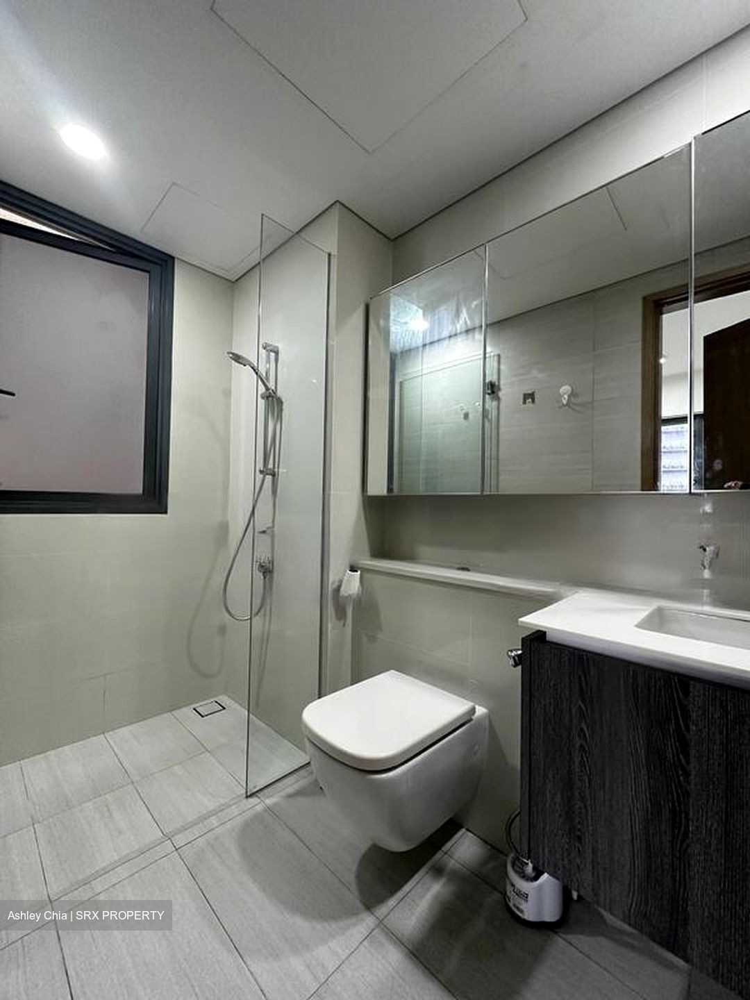 Lakeville (D22), Condominium #564131101